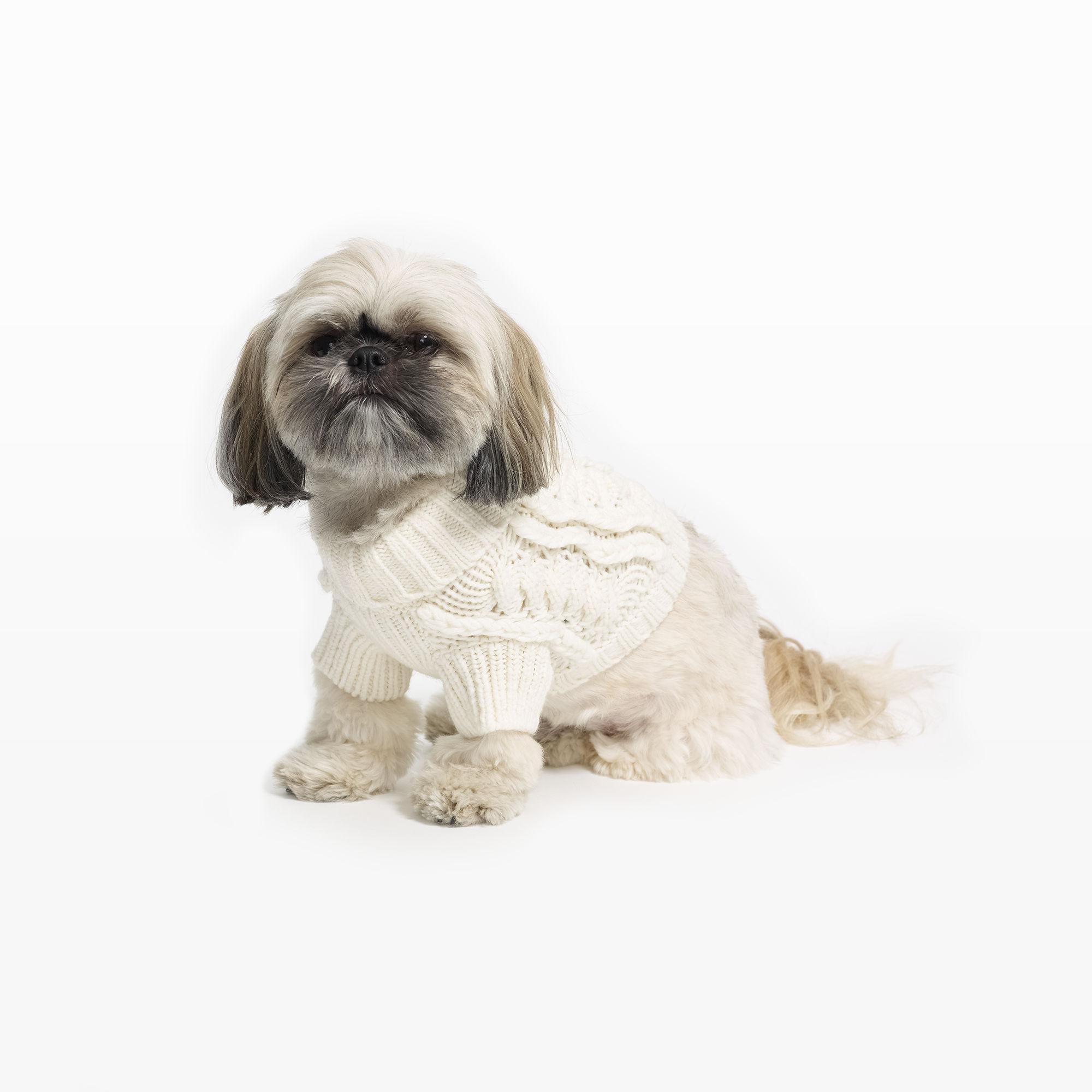 club monaco dog sweater