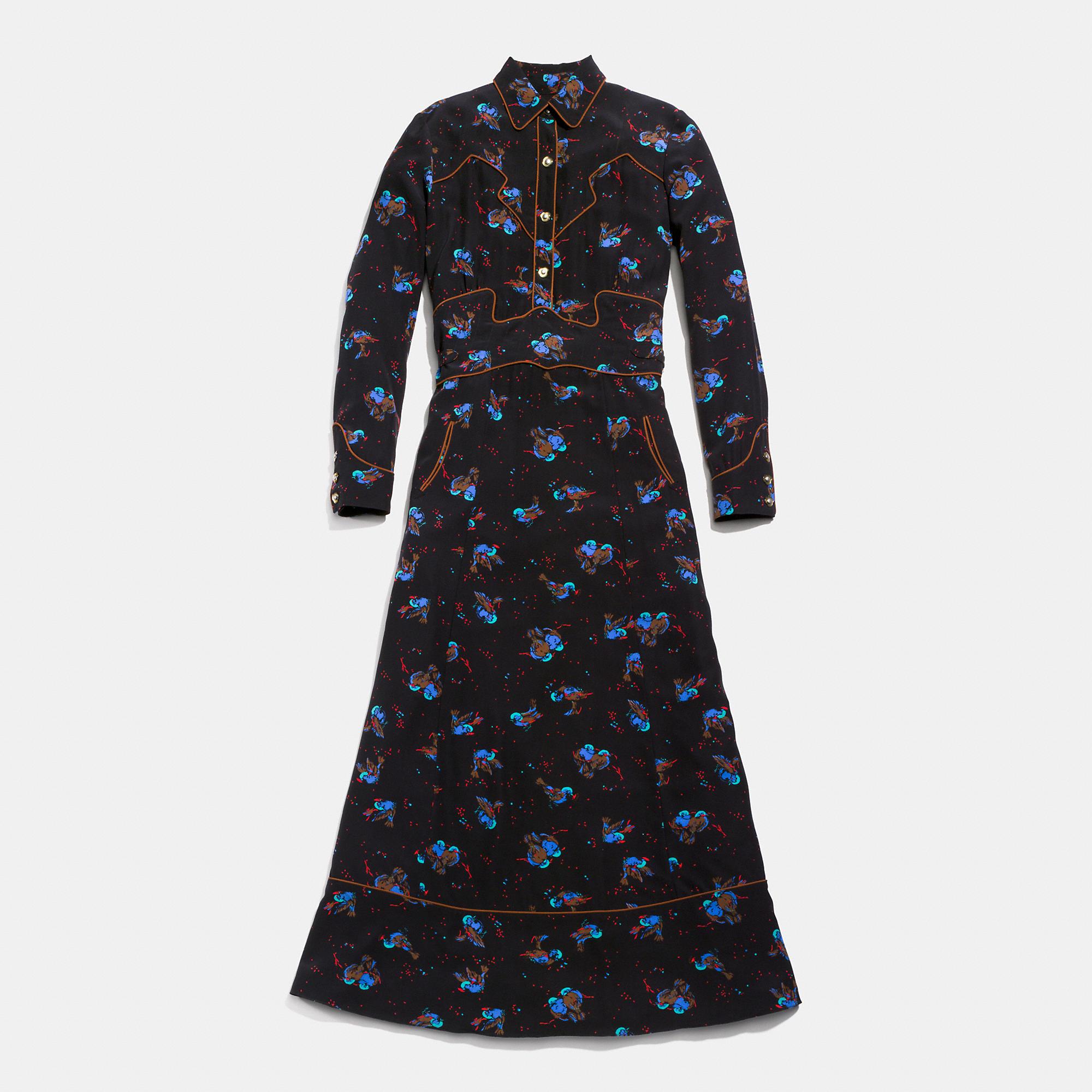 coach western dress