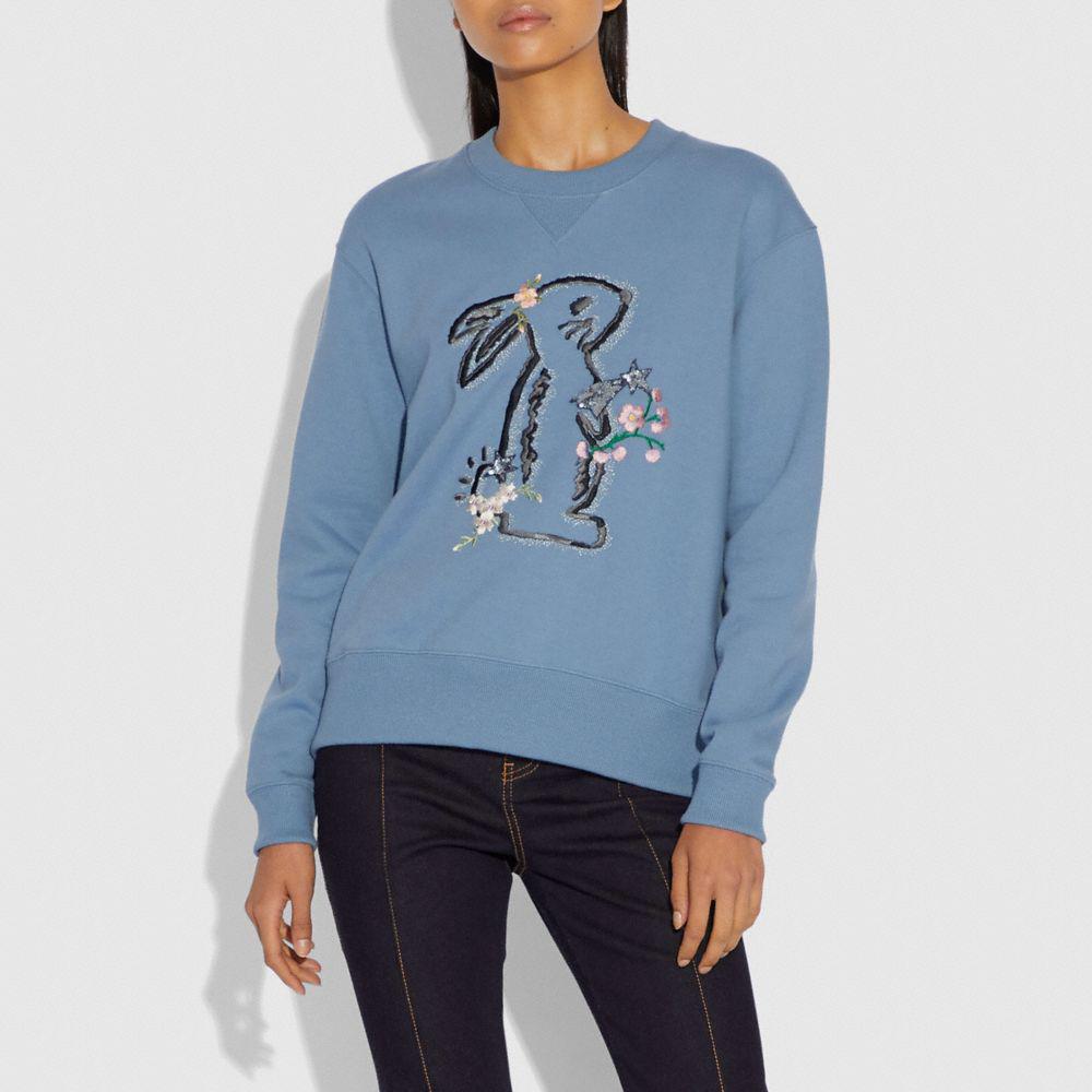 sweatshirt coach