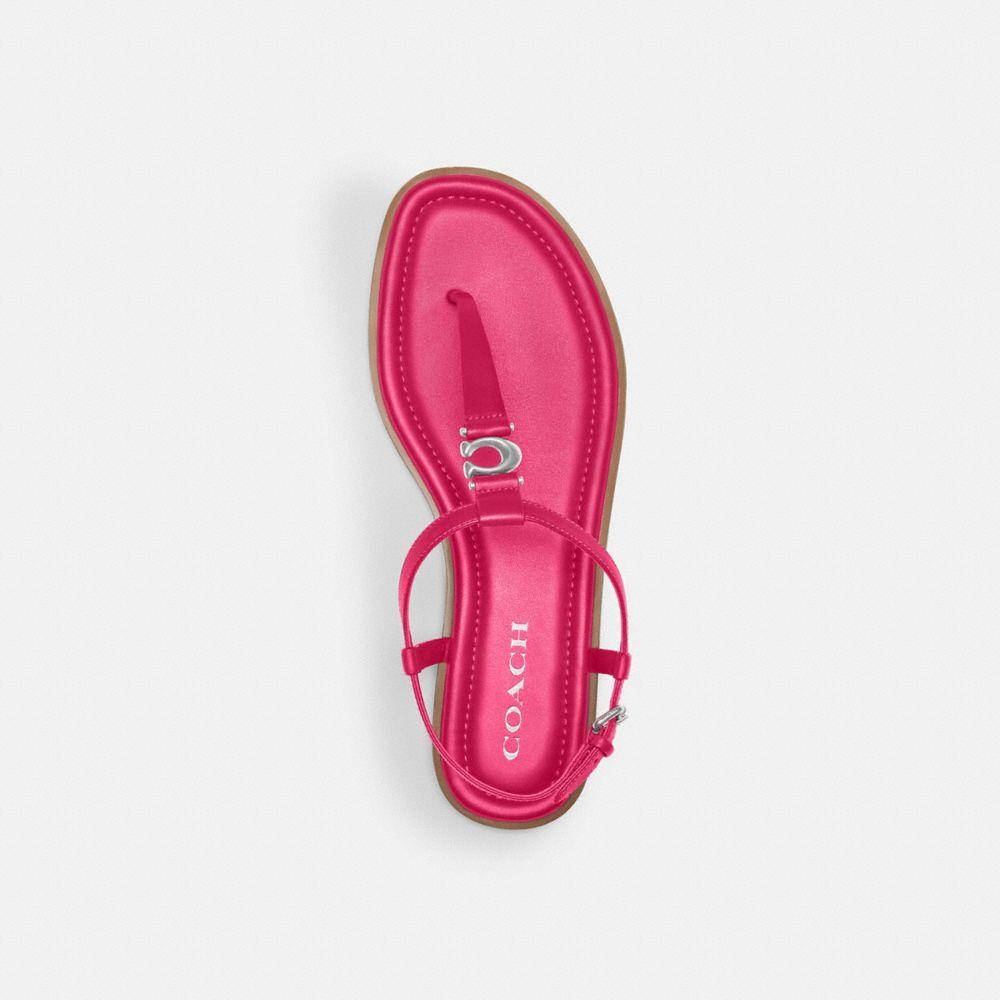 COACH Jessica Sandal in Pink | Lyst