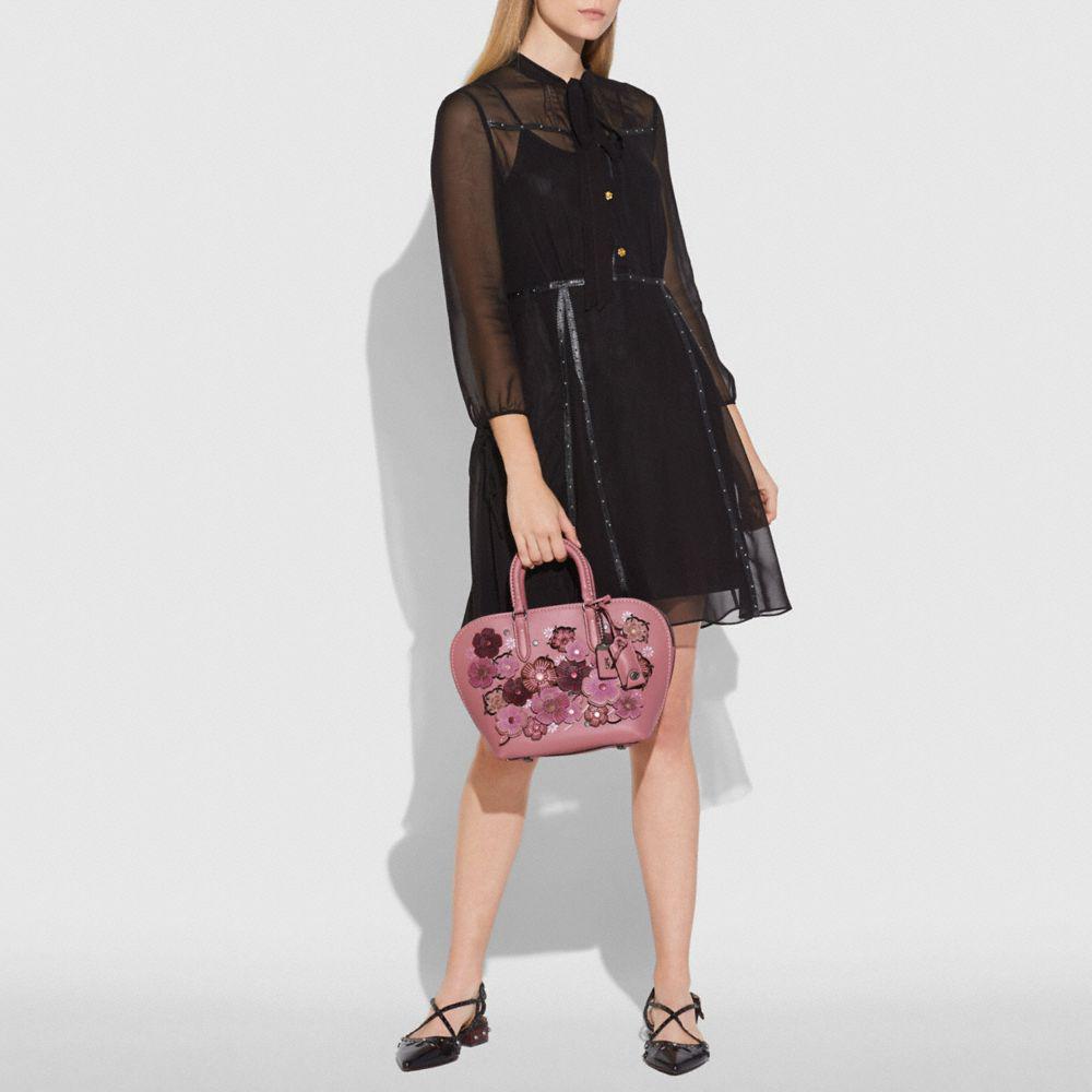 coach dakotah satchel