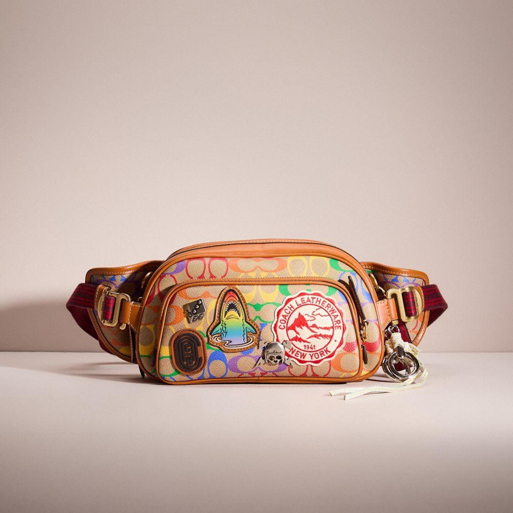 hitch belt bag coach
