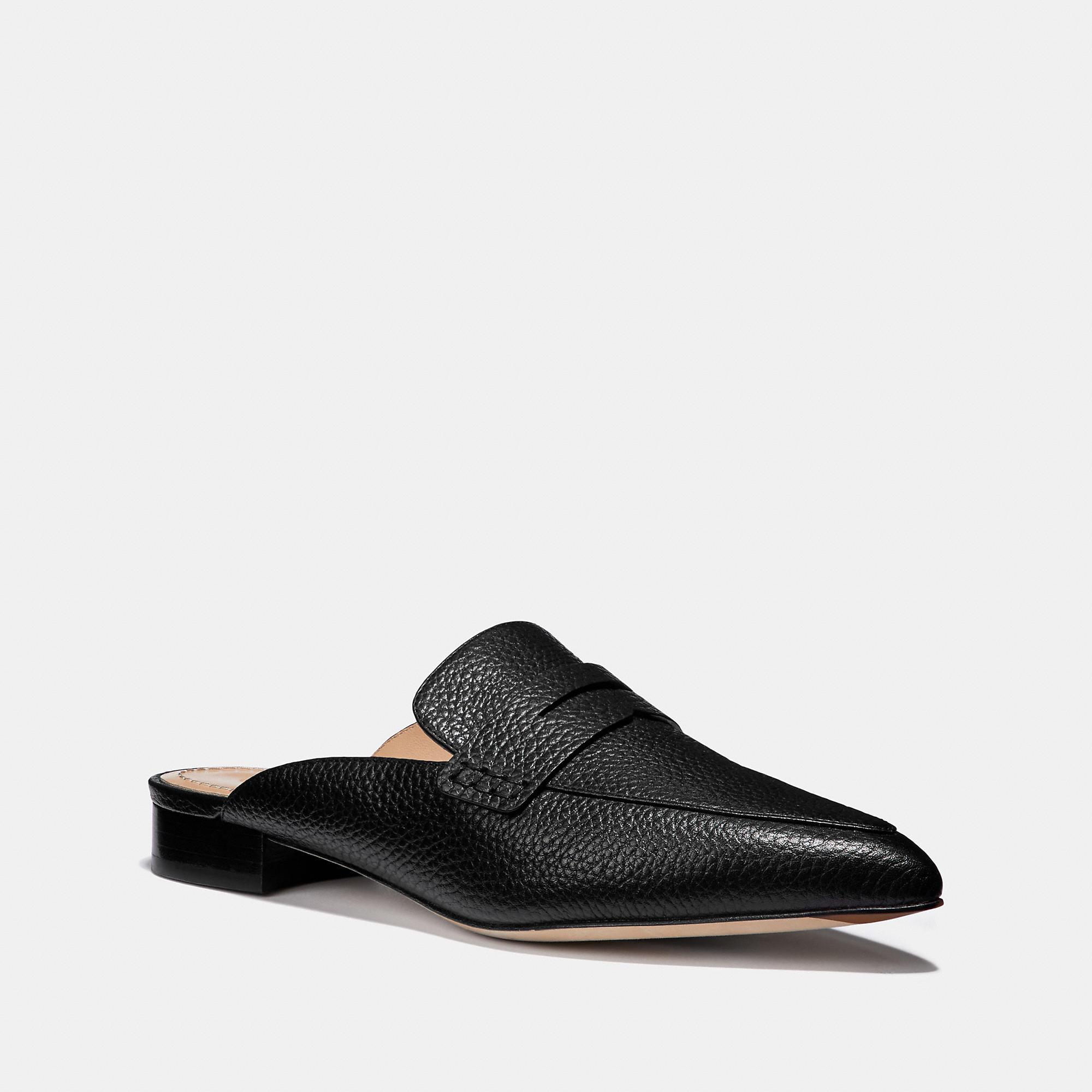 coach slides coach slides