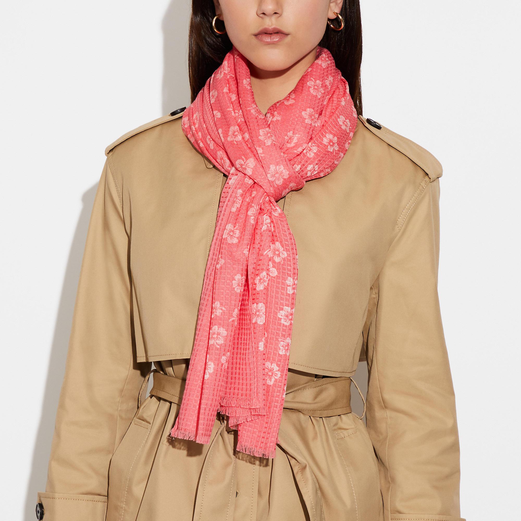 coach outlet scarf