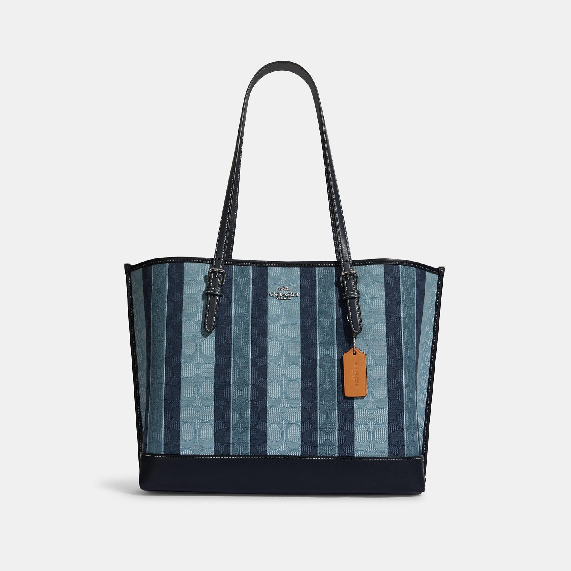 Coach bag with sales blue stripe