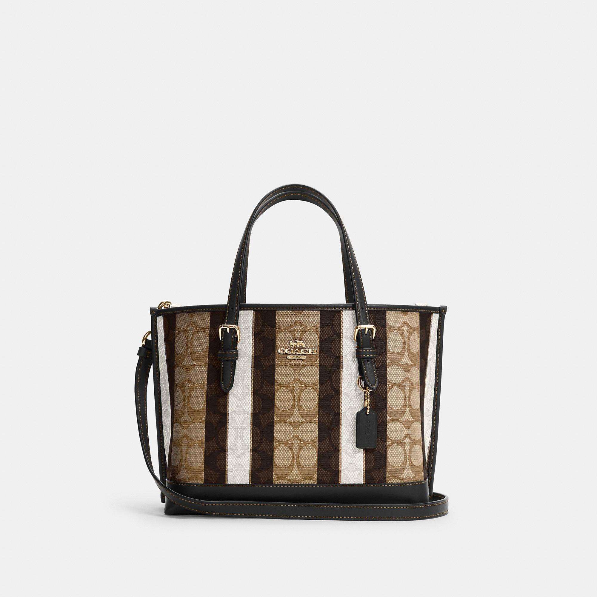 Coach Tan and Brown Signature Stripe Tote