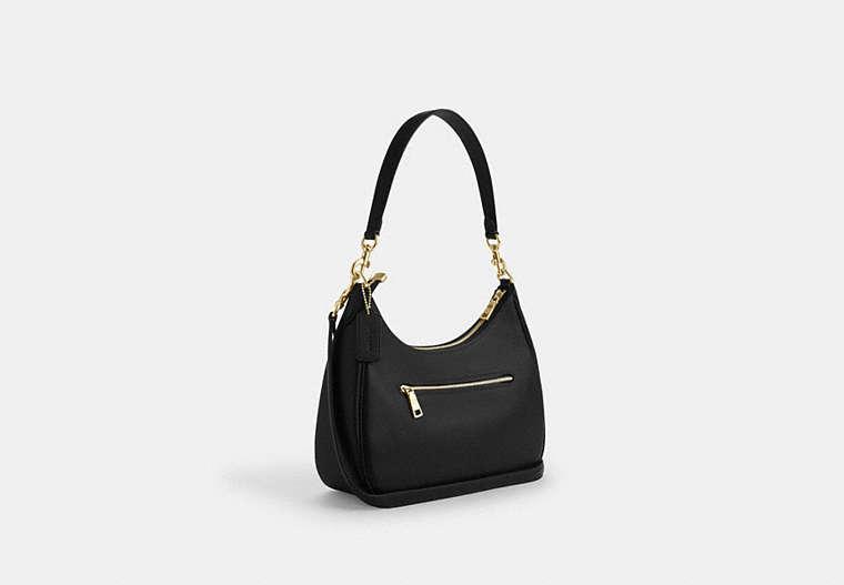 coach-Black-Teri-Hobo-Bag.jpeg
