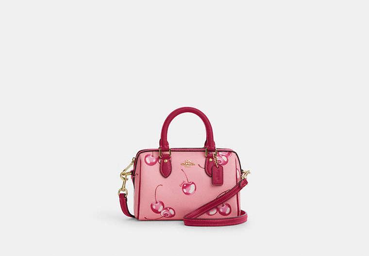 Coach Bag with Cherries: A Fashionable Symbol of Style and Fun