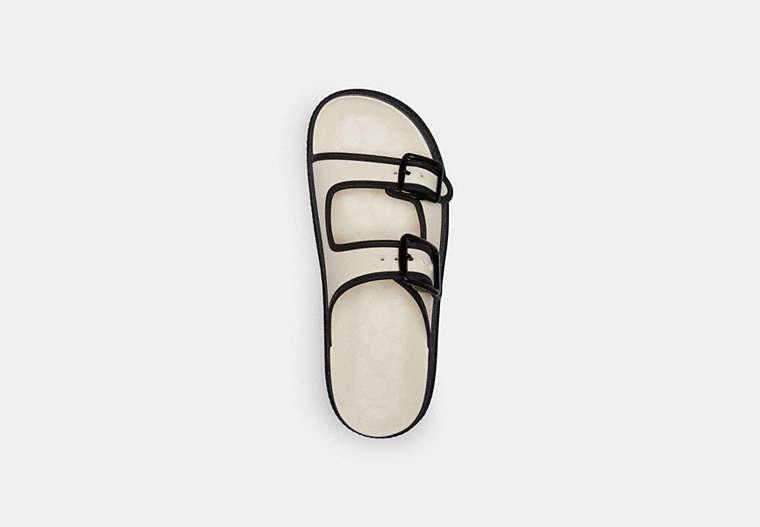 【Coach】Lainey Sandal サンダル ◆国内発送◆ org.jpg