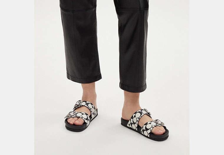 COACH Allanah Sandal In Signature Canvas | Lyst