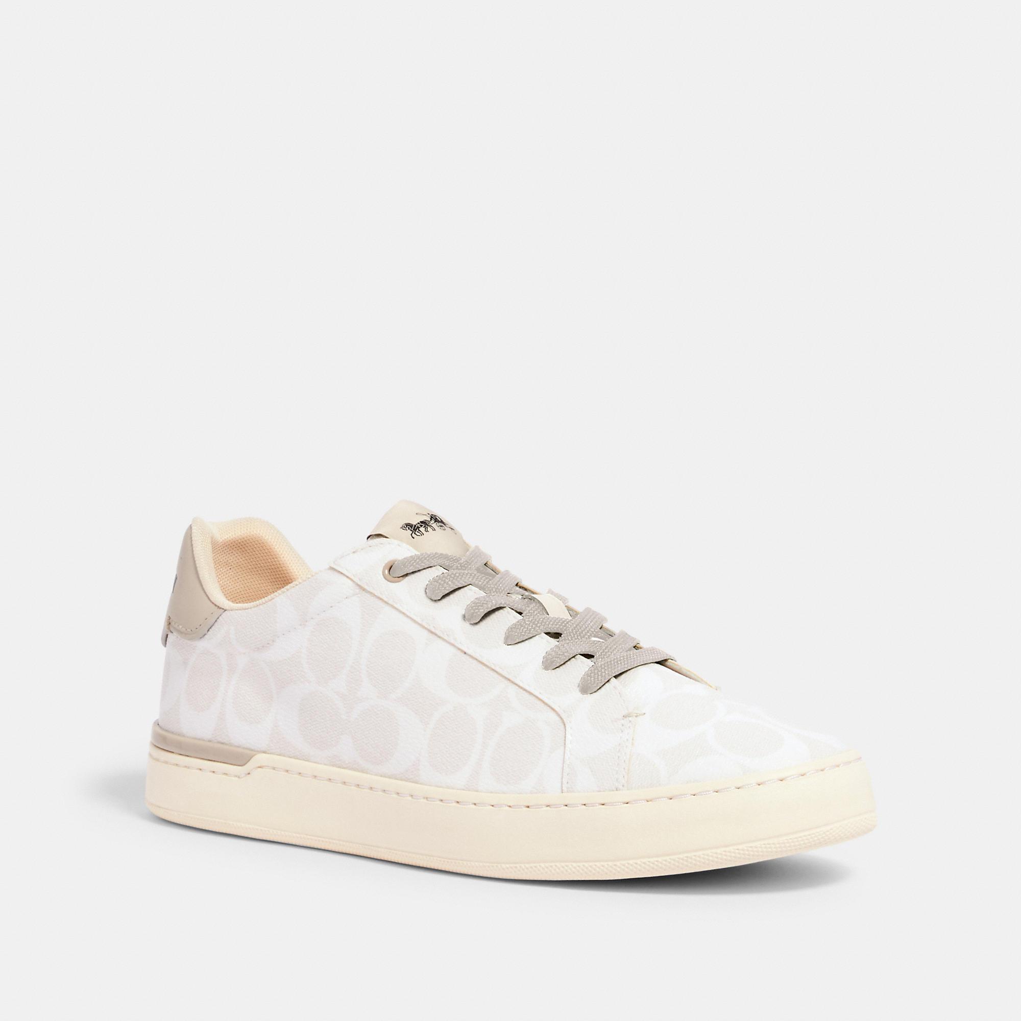 clip low top sneaker with coach print