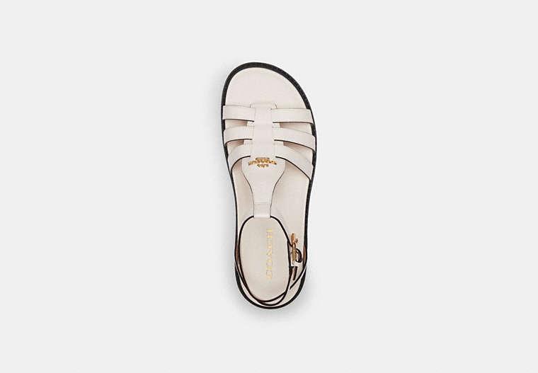 【Coach】Franny Sandal レザーサンダル ◆国内発送◆ COACH Franny Sandal in Black | Lyst
