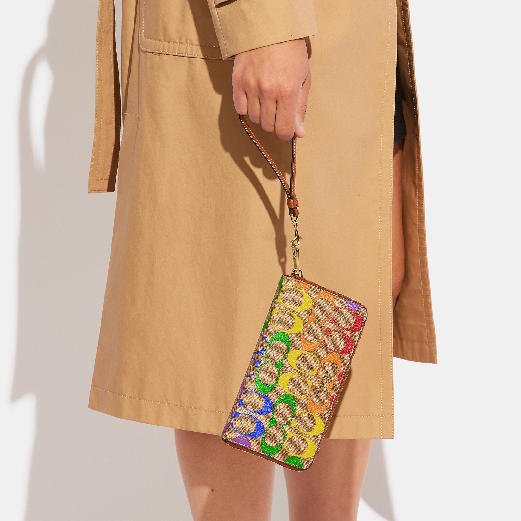 Rainbow wallet coach sales