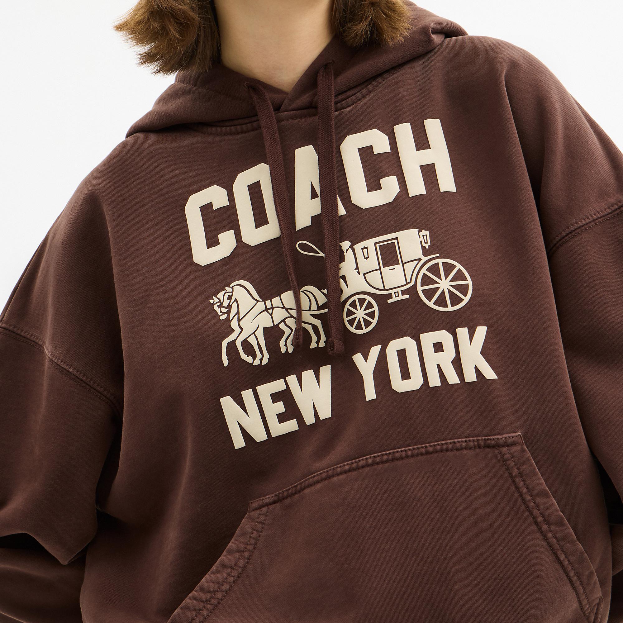 COACH Horse And Carriage Hoodie in Brown for Men | Lyst