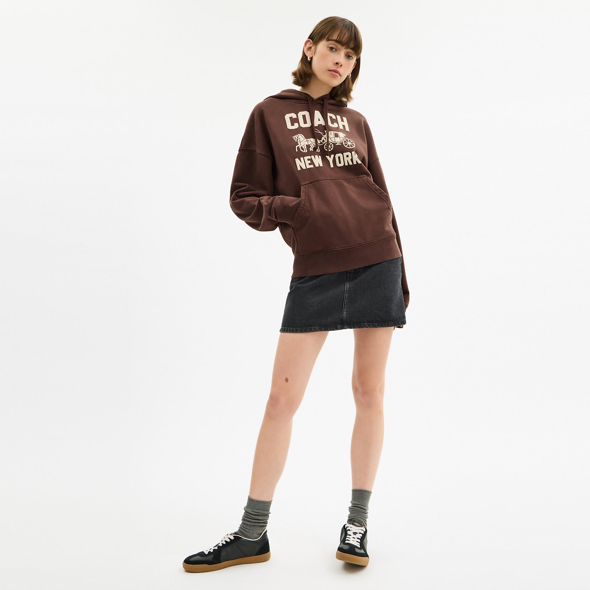 COACH Horse And Carriage Hoodie in Brown for Men | Lyst