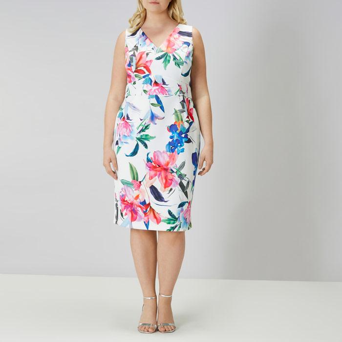 coast natalia dress