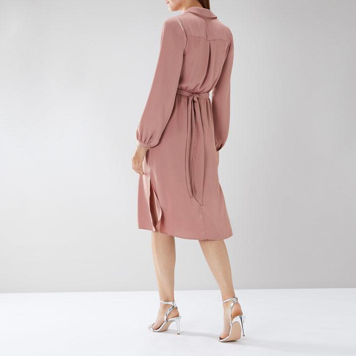coast rosie shirt dress