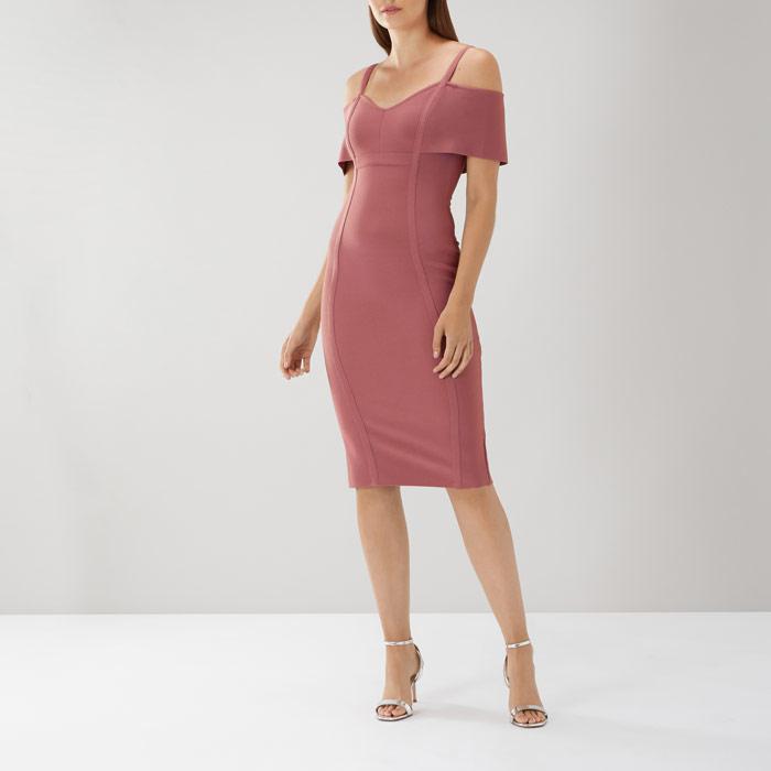 coast larson knit shift dress