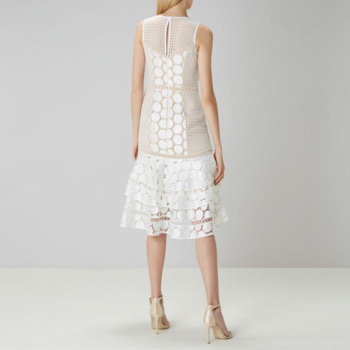 eve geo lace shift dress