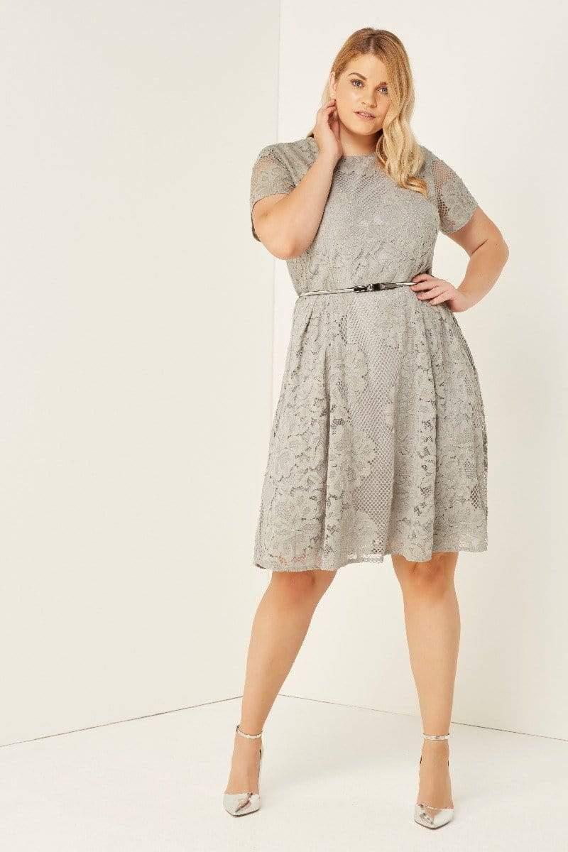 little mistress waterlily