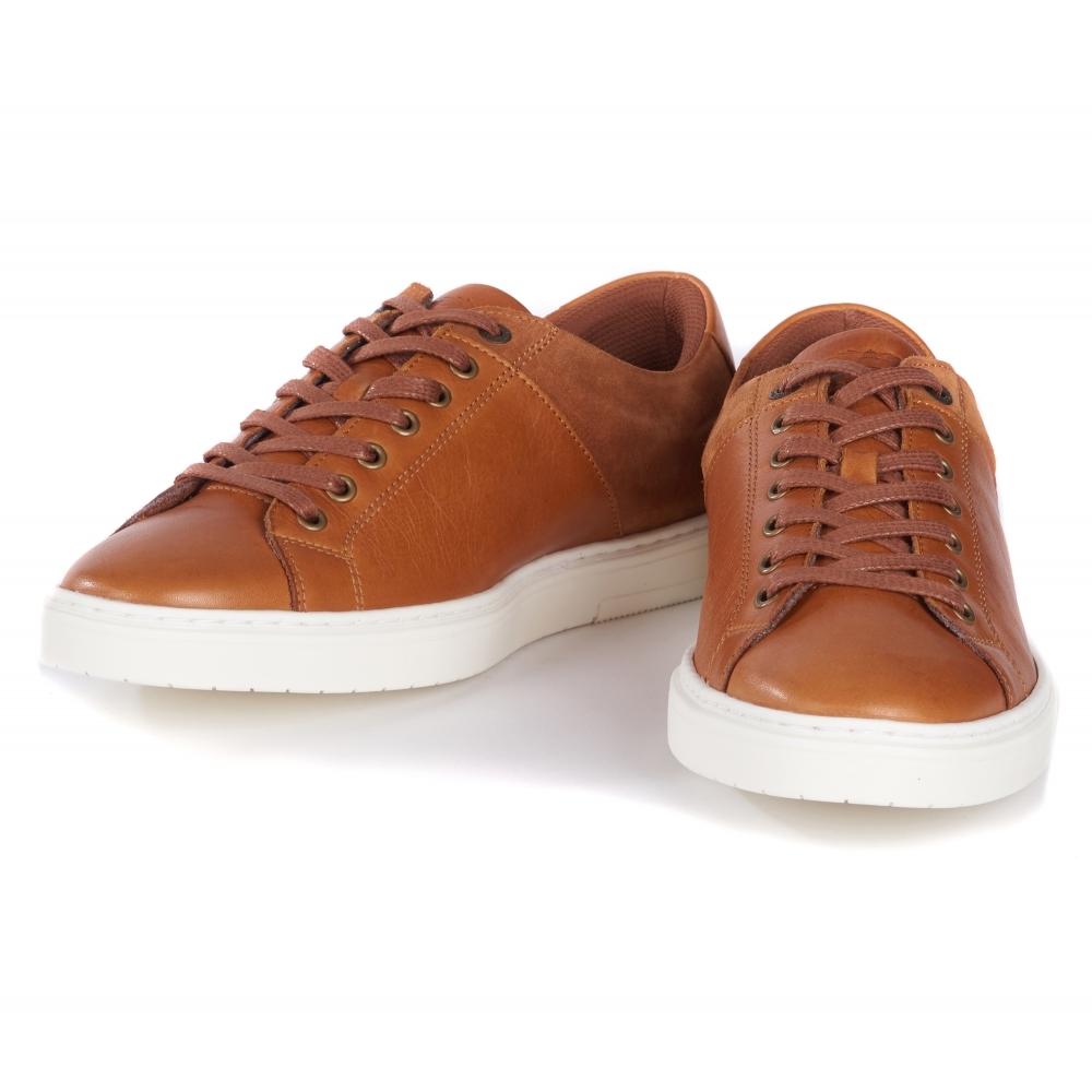 barbour ariel trainers