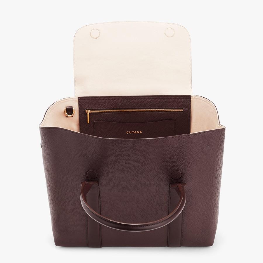cuyana trapeze satchel