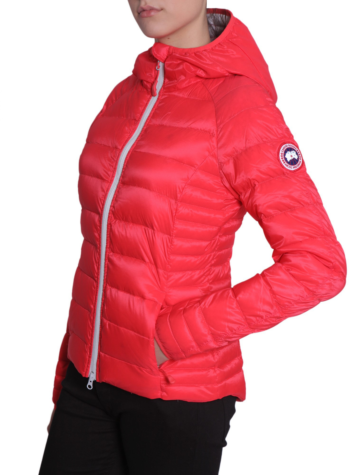 a vendre canada goose