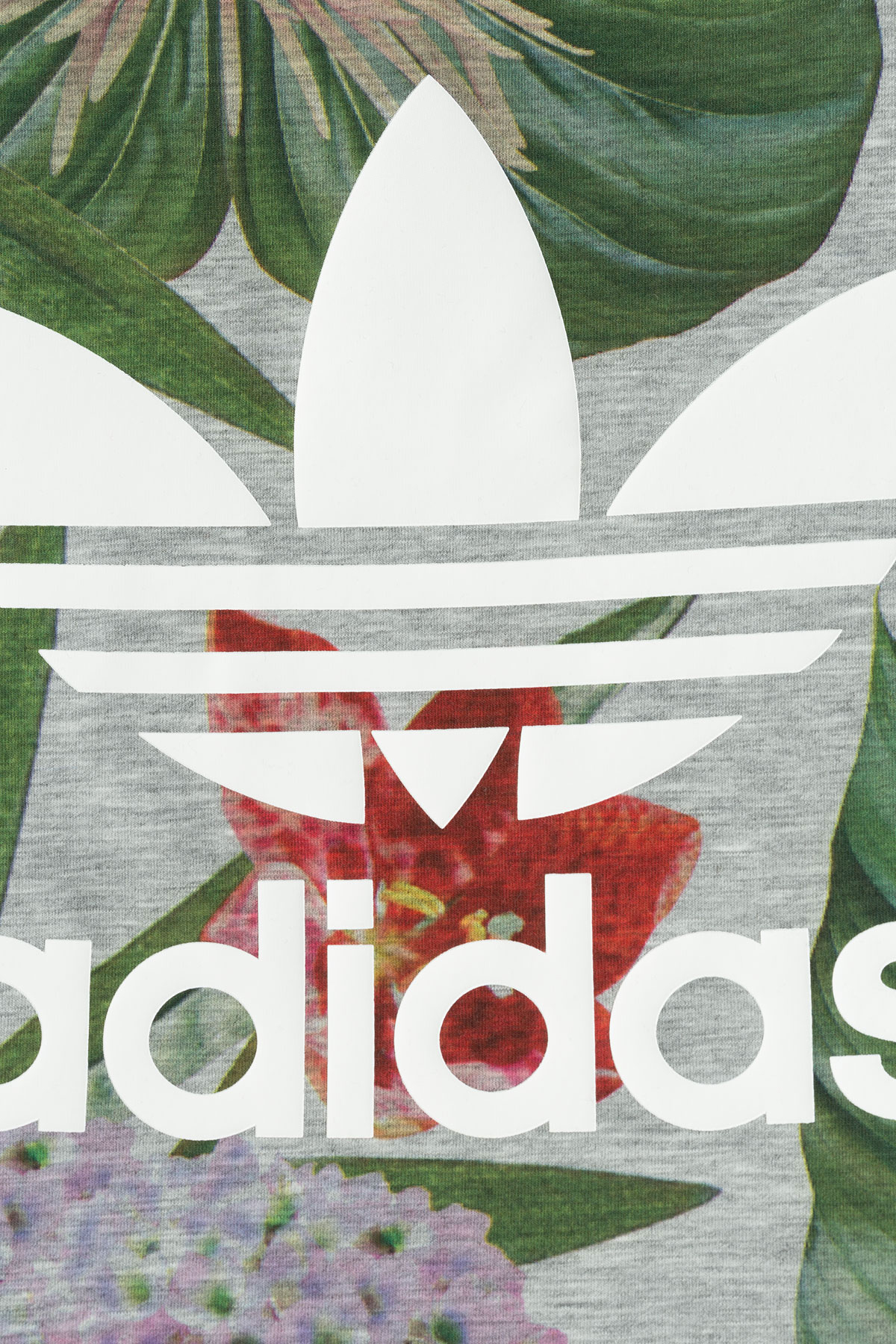 adidas Originals Floral Print Cropped T-shirt With Logo - Multicolor in