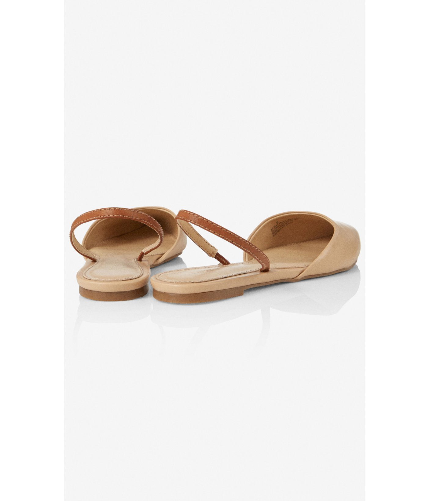 Express Pointed Toe Slingback Flat in 