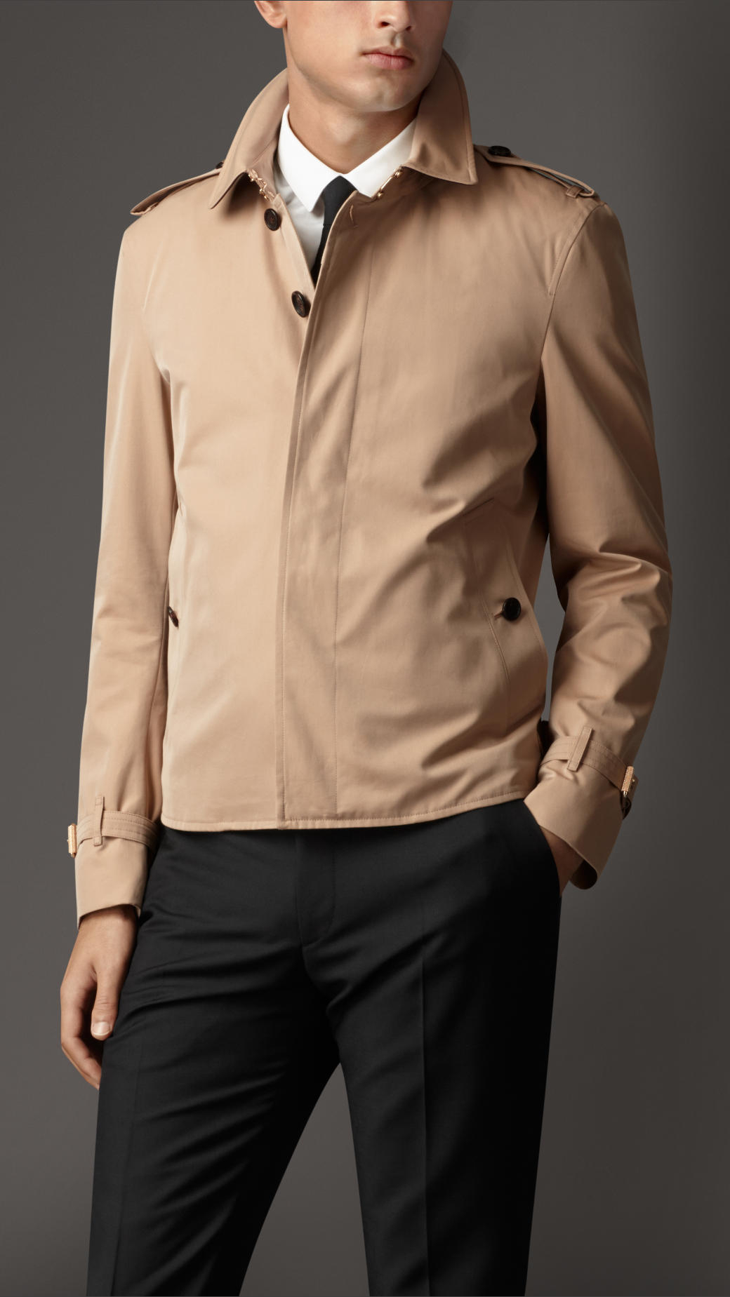 Download Burberry Cotton Gabardine Harrington Jacket in Honey ...