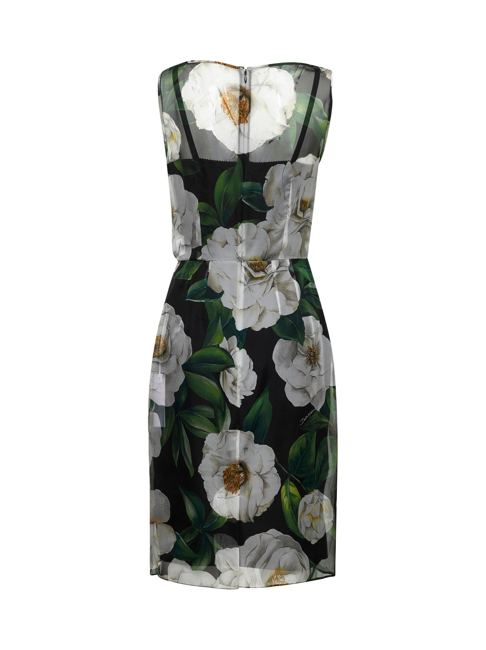 dolce-gabbana-Multicolor-