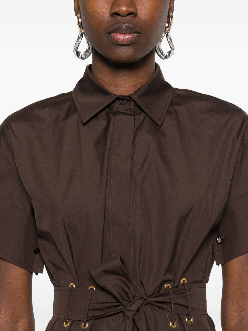Max Mara Agoraio Belted Short Sleeves Poplin Dress in Brown