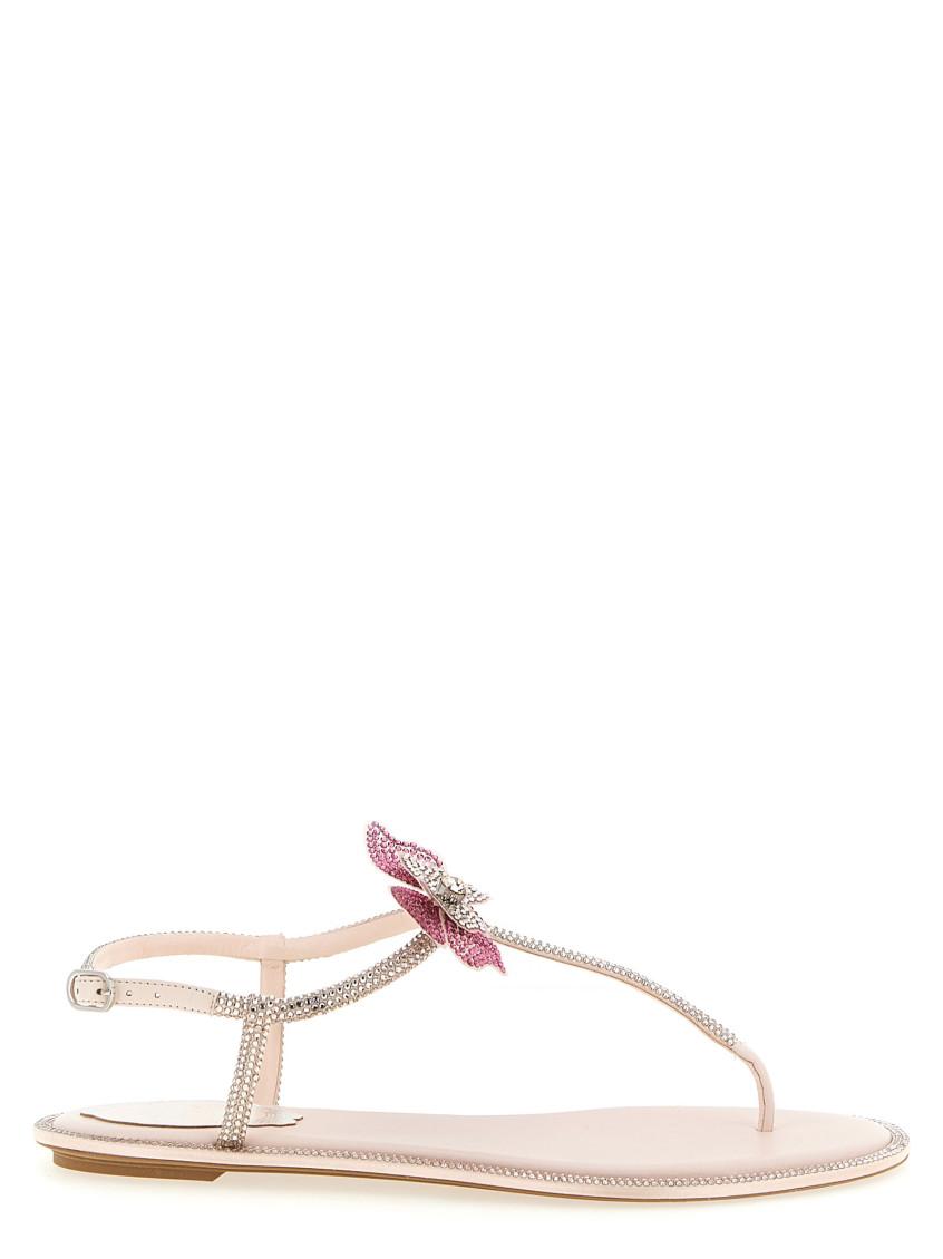 Rene Caovilla Flat sandals for Women | Online Sale up to 64