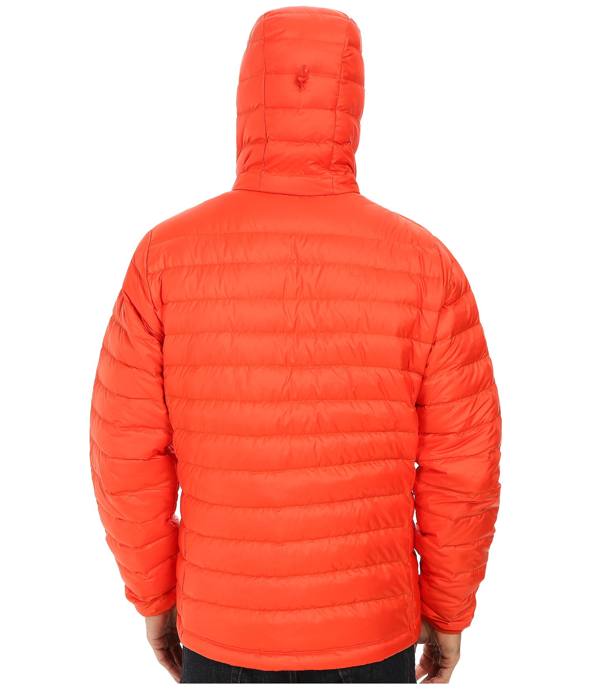 moncler bady coat