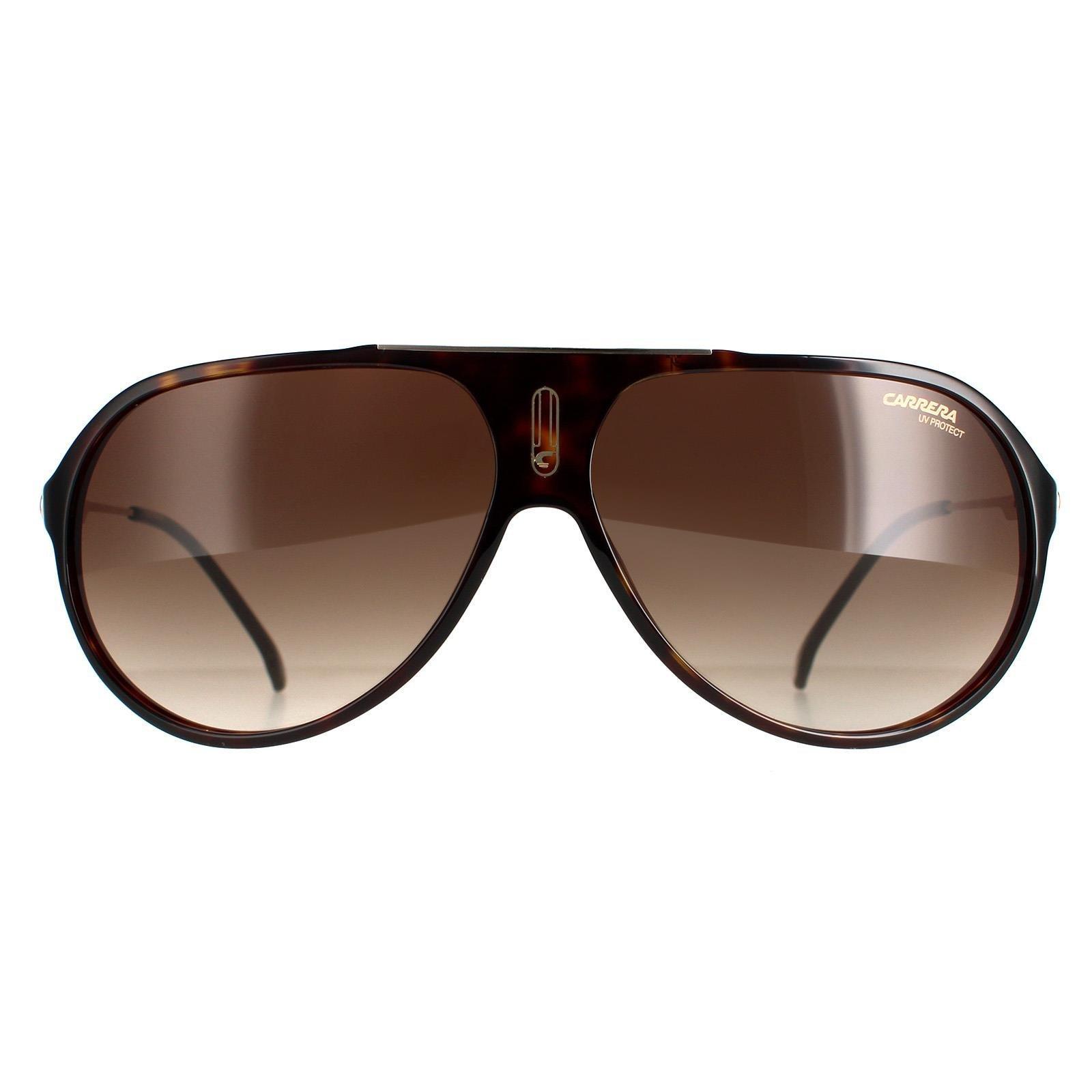 Carrera dark cheap havana
