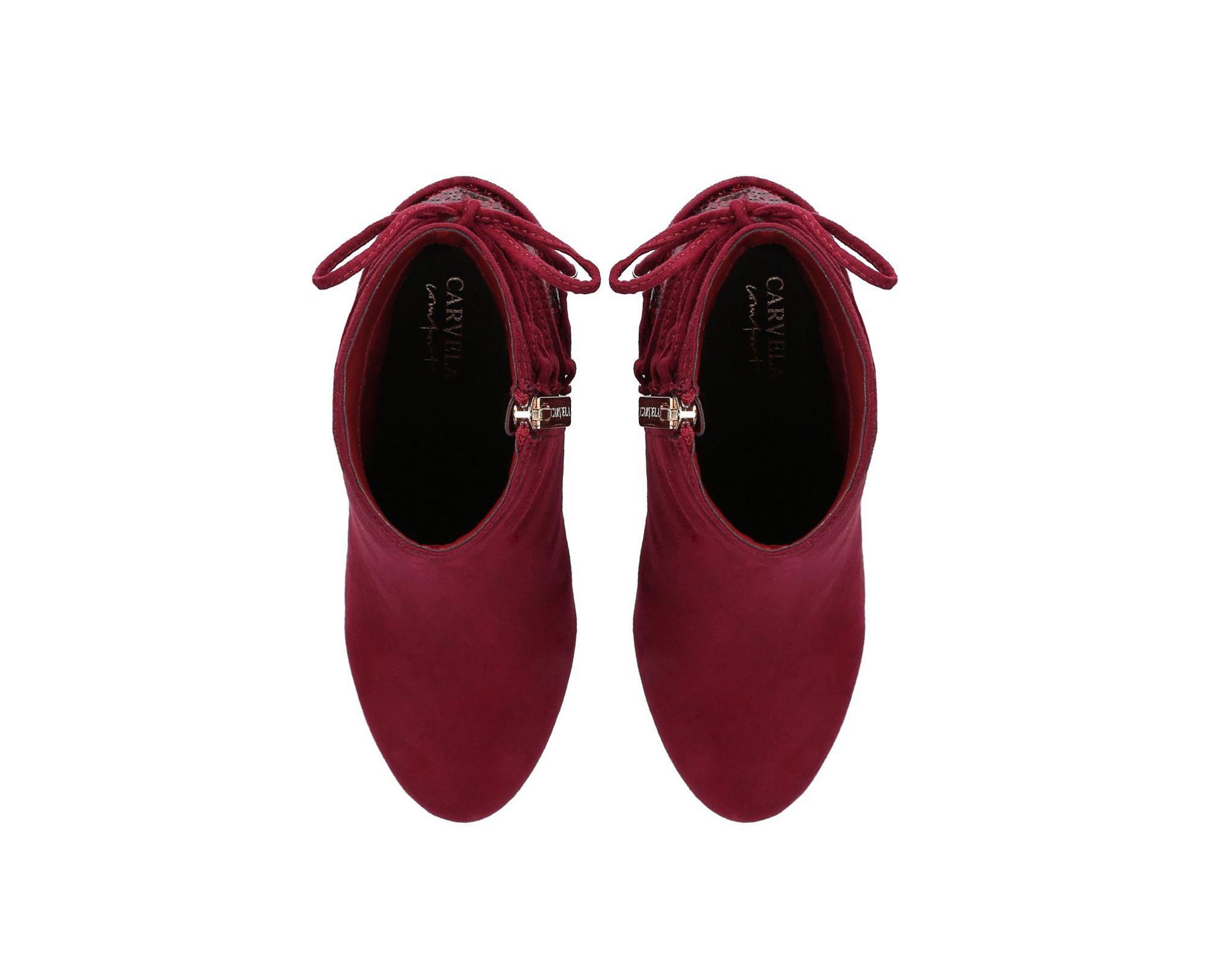 carvela tash boots