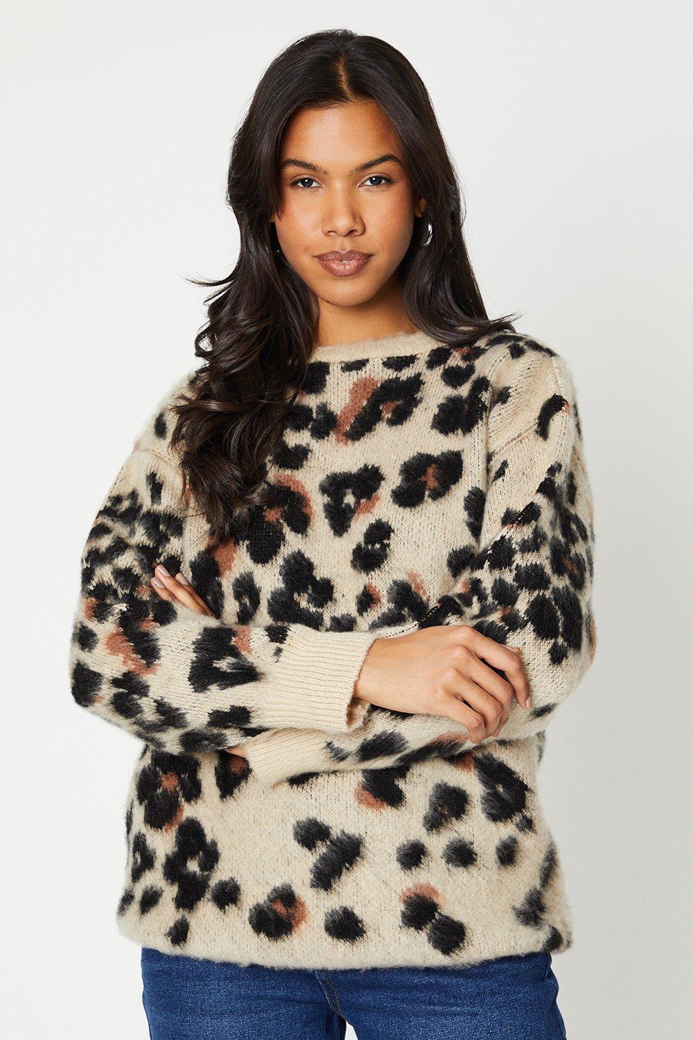 Leopard print hotsell jumper debenhams