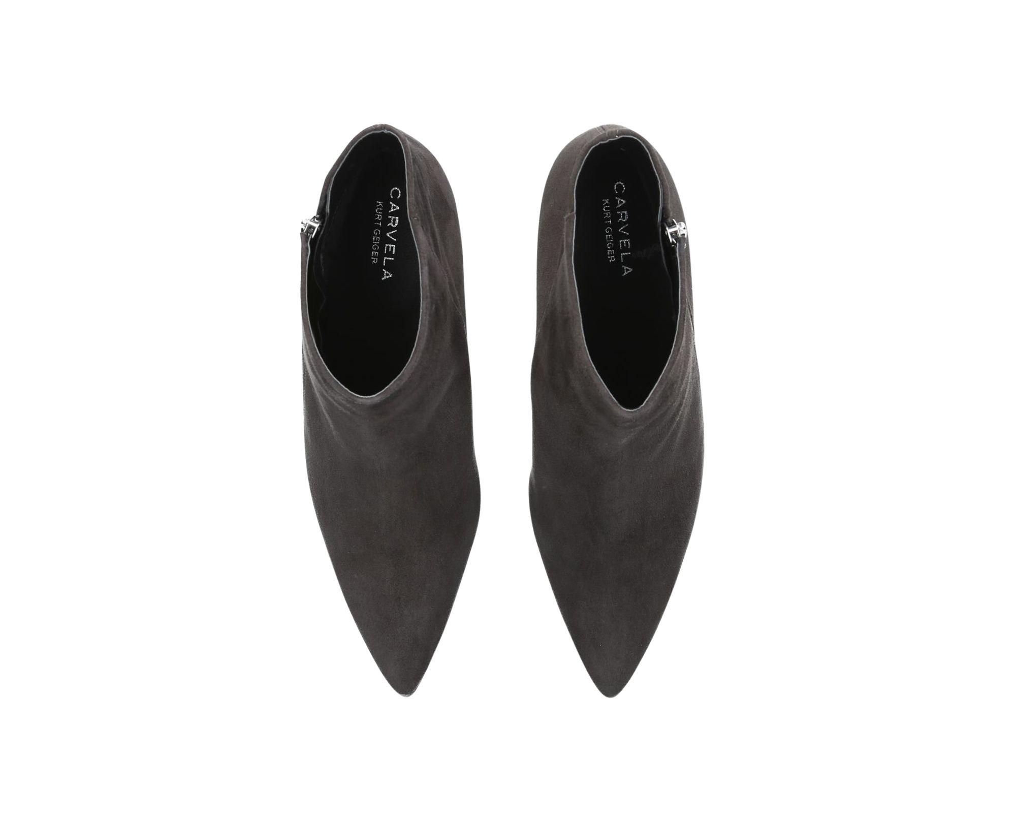carvela ross ankle boots