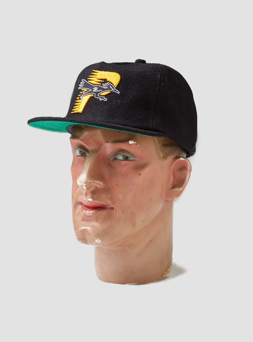 roadrunner baseball cap