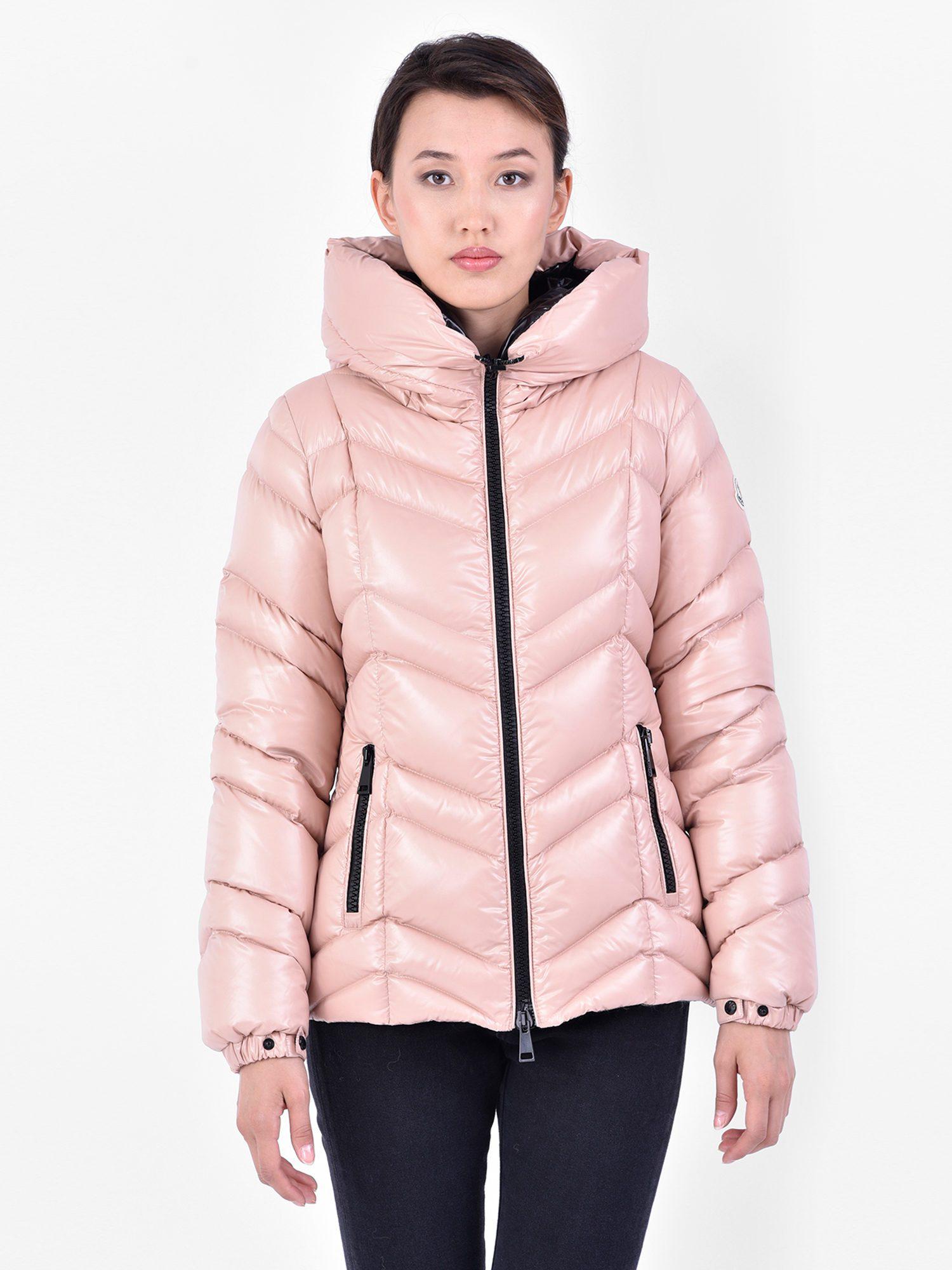 fuligule moncler