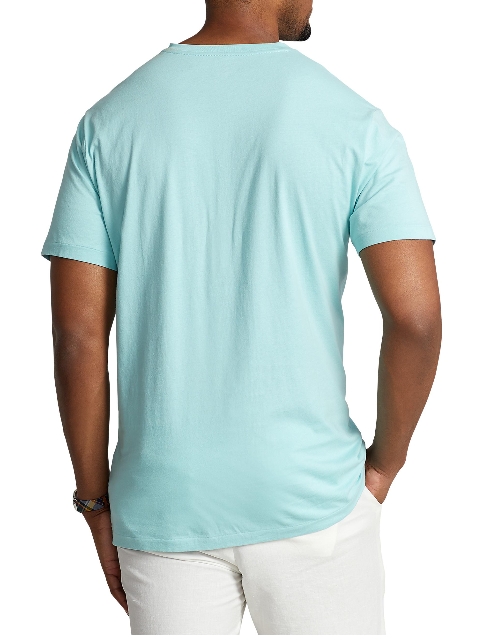 Polo Ralph Lauren Cotton Big & Tall Classic Fit V-neck T-shirt in Blue for  Men | Lyst