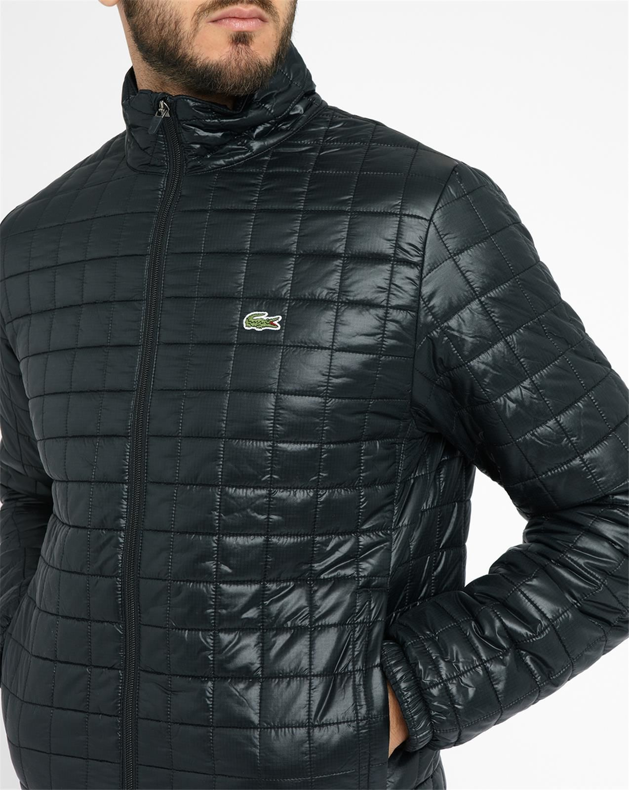 Lacoste Black Quilted Down Jacket in Black for Men | Lyst