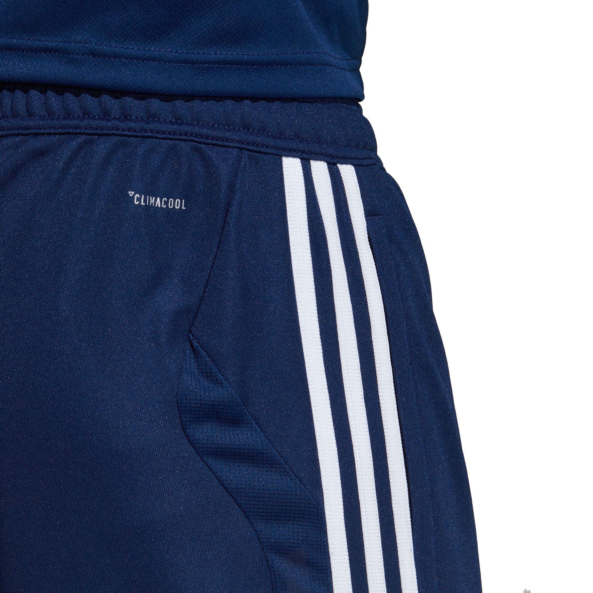Adidas Tiro 19 Training Pants In Darkbluewhite Blue -4463