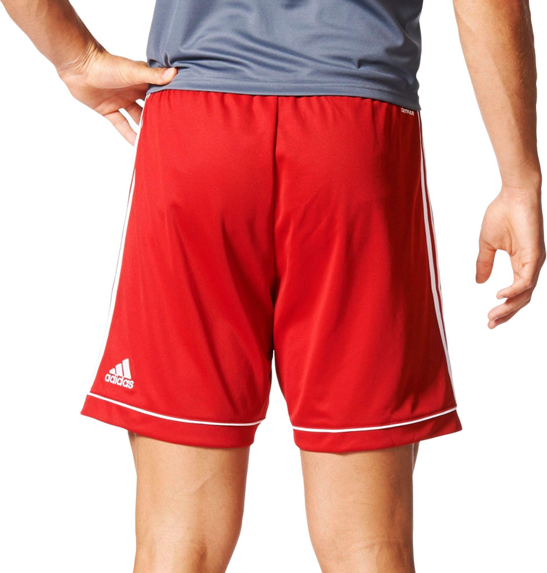 adidas Synthetic Squadra 17 Soccer Shorts in Red for Men Lyst