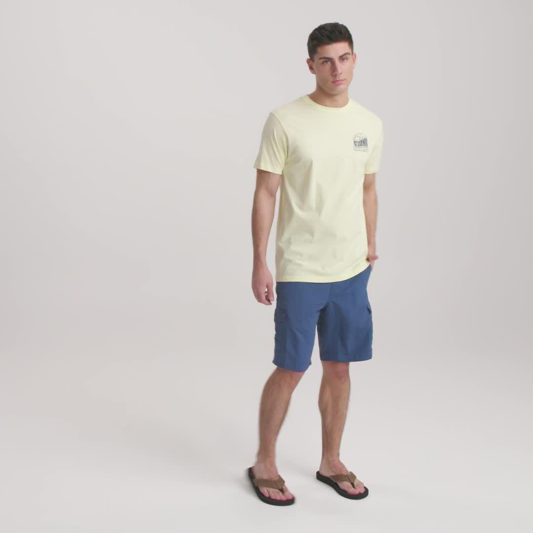 patagonia t shorts