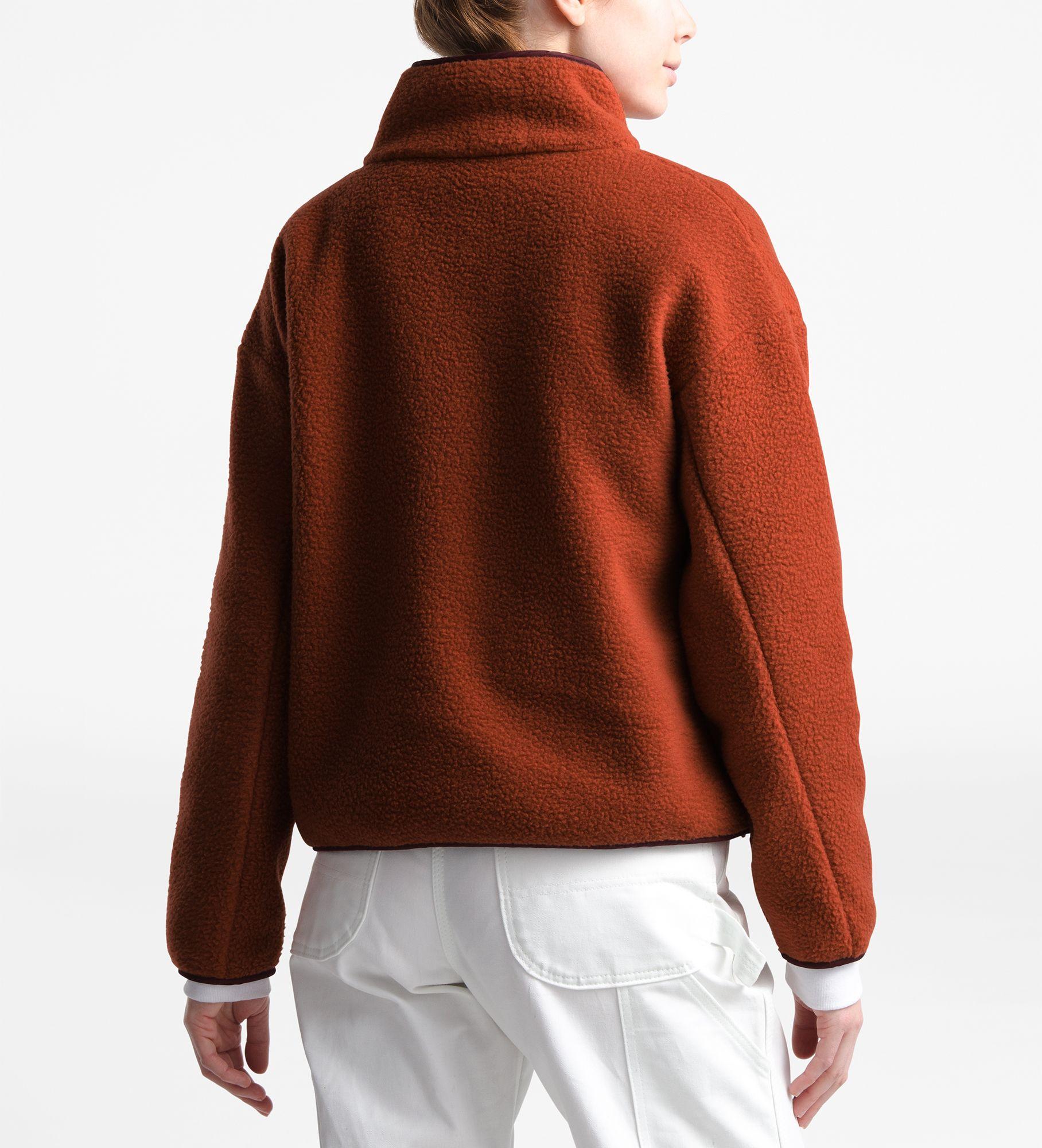 the north face fleece cragmont