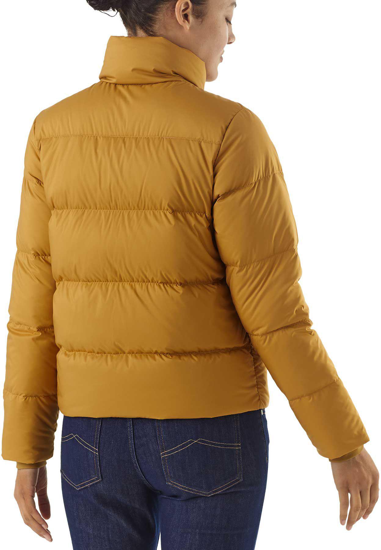 patagonia kastanos brown