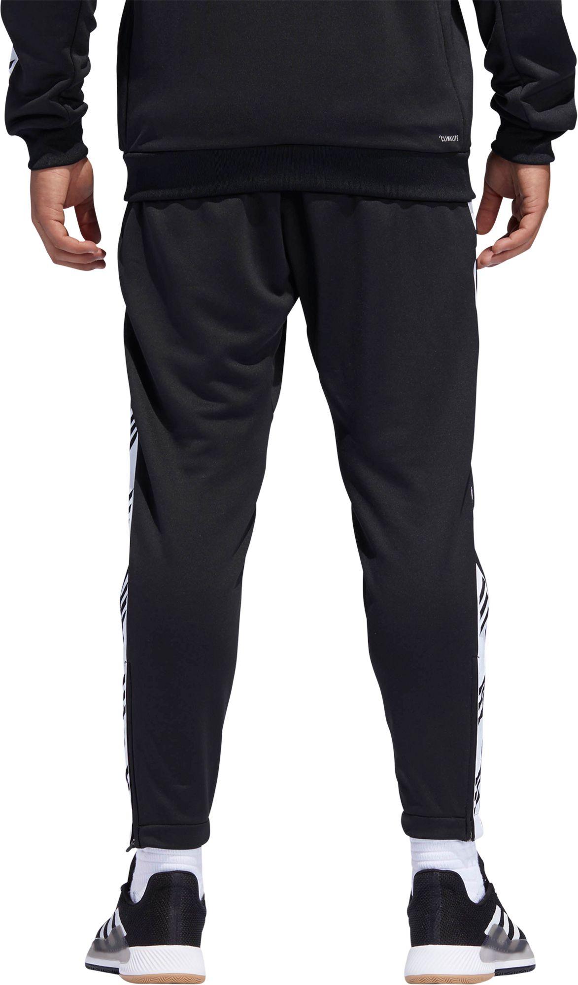 pro madness pants