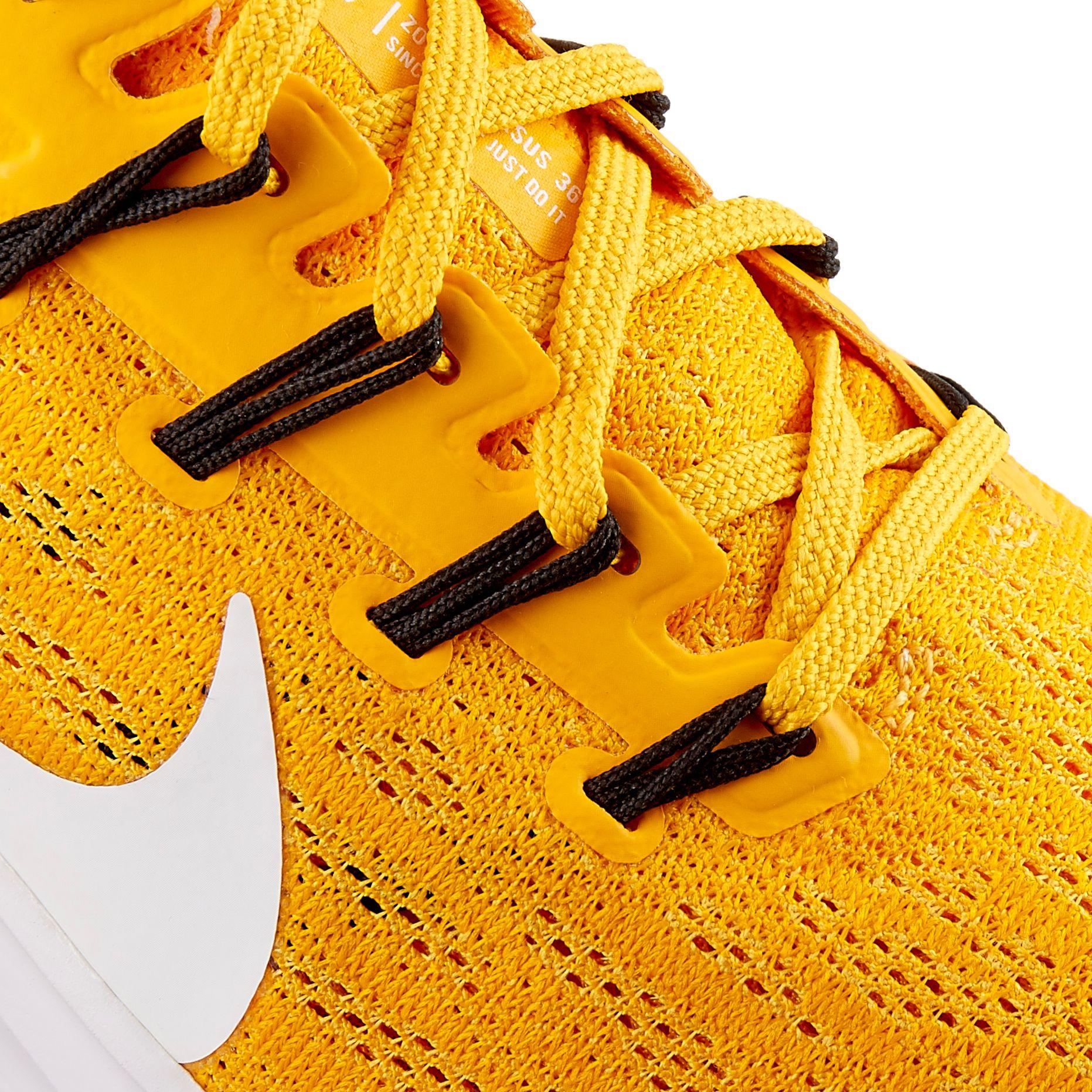 pegasus 36 colors