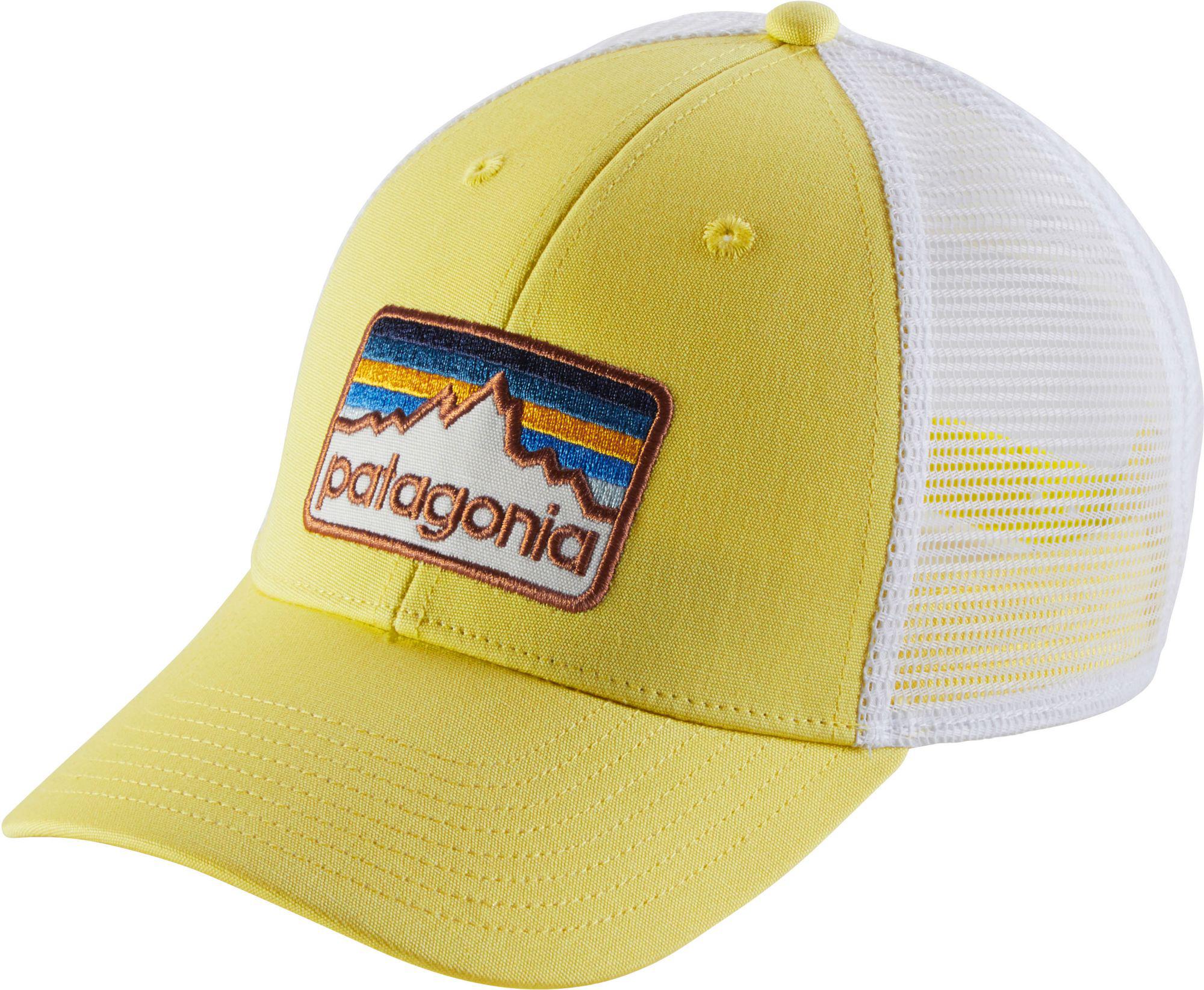 patagonia line logo badge lopro trucker hat